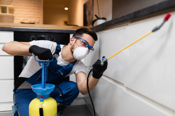 Best Mosquito Control Services  in New Prague, MN