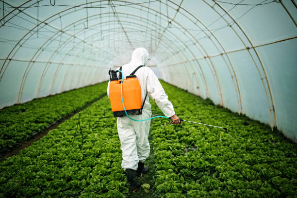 Best Pest Control Near Me  in New Prague, MN